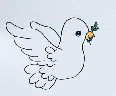 信鸽简笔画 和平信鸽简笔画