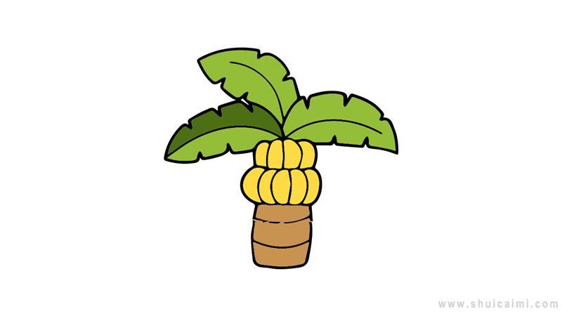 芭蕉树简笔画怎么画 芭蕉树简笔画步骤