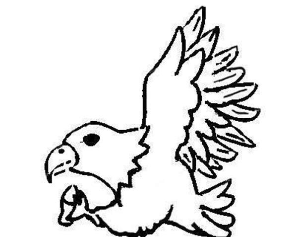 简笔画老鹰 小动物 简单 漂亮|儿童简笔画老鹰图片