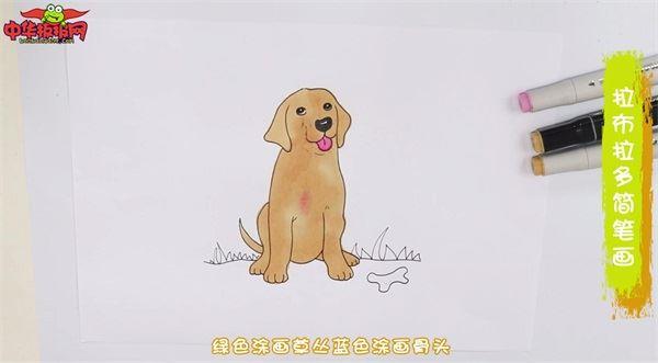 拉布拉多怎么画 拉布拉多简笔画画法
