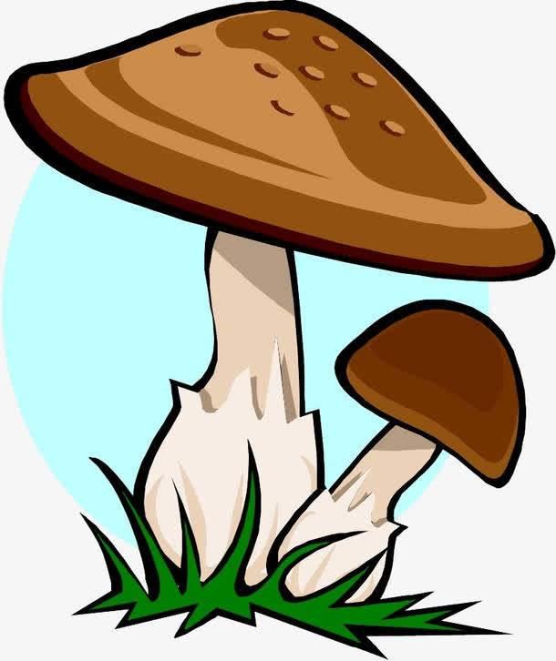 香菇简笔画 香菇简笔画彩色