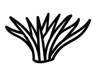 简笔画小草 简笔画小草图片大全