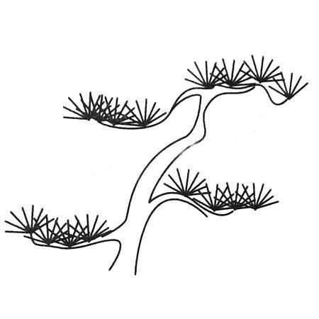 松树简笔画 松树简笔画大全大图