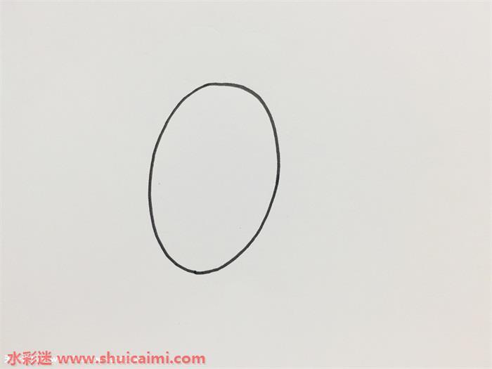 毛毛虫茧怎么画 毛毛虫茧简笔画步骤