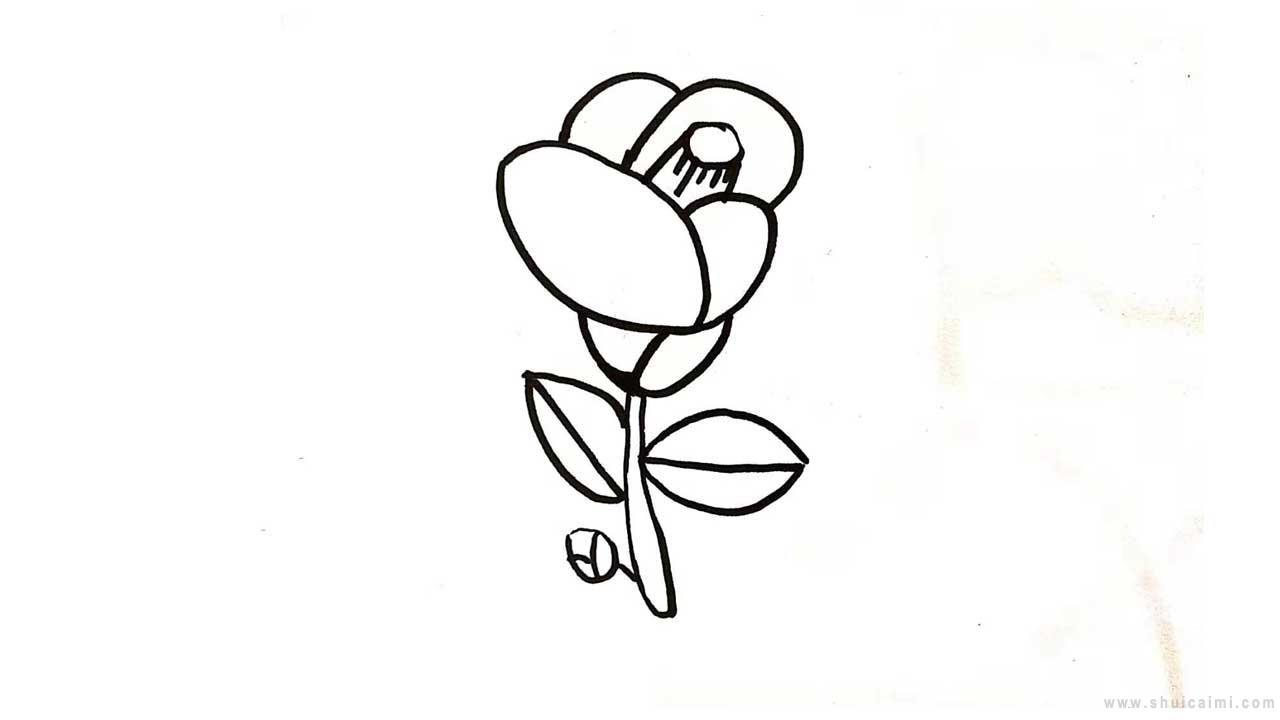 山茶花简笔画怎么画？简单又好看的山茶花简笔画详细教程