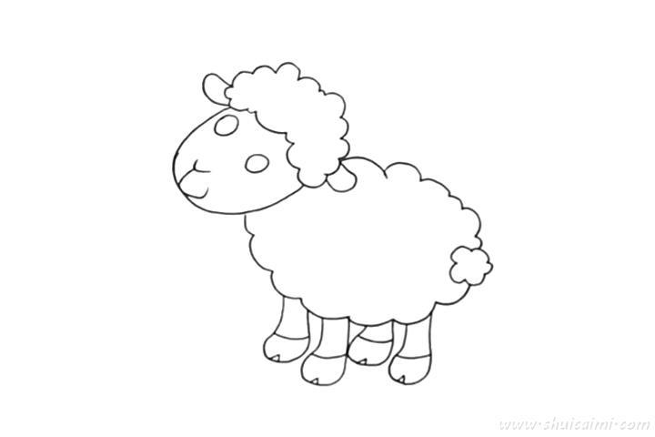 绵羊怎么画 绵羊简笔画彩色