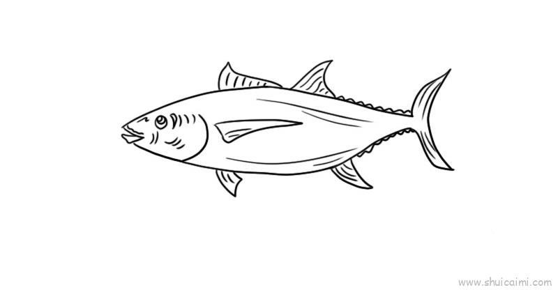 青鱼儿童画怎么画 青鱼简笔画步骤