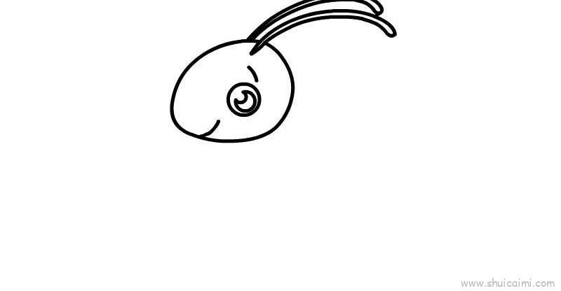 蚱蜢儿童画怎么画 蚱蜢简笔画画法