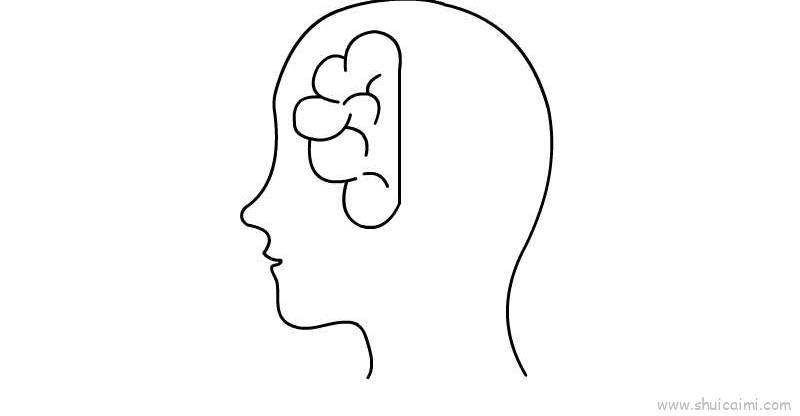 大脑儿童画怎么画 大脑简笔画好看