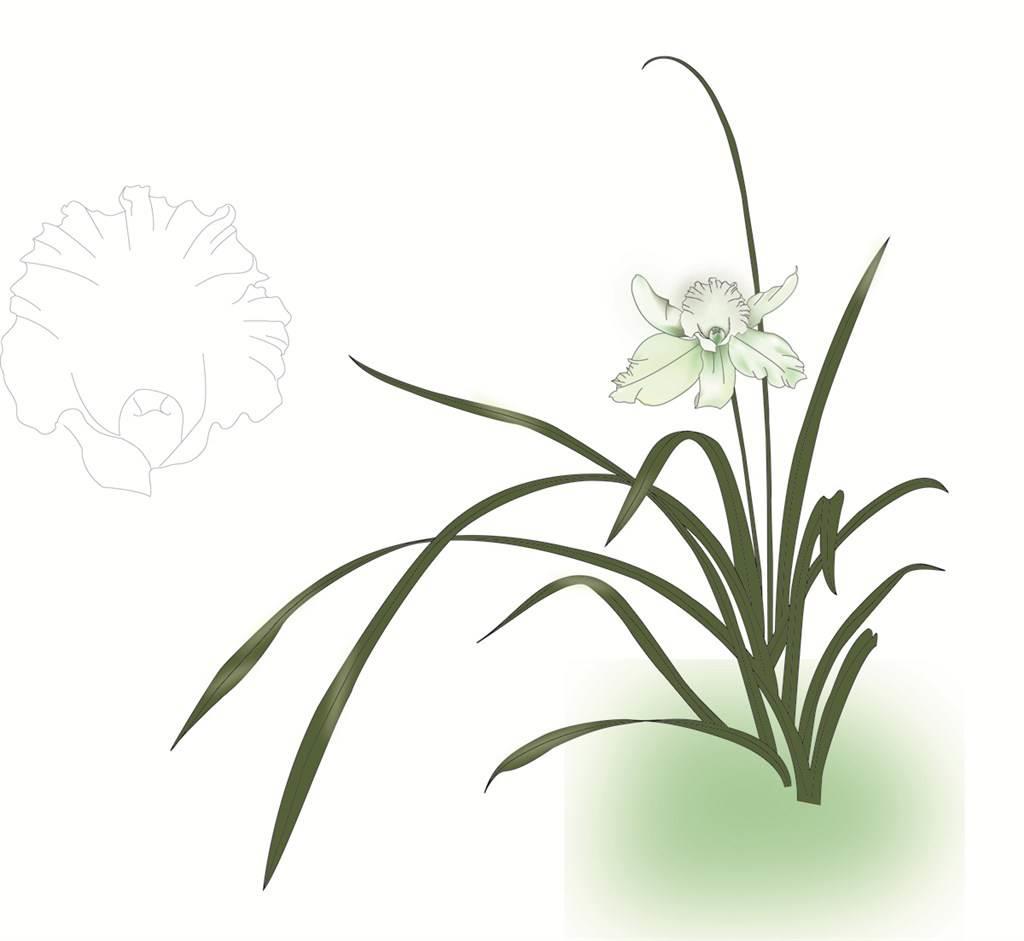 兰花简笔画图片大全 兰花简笔画图片大全带颜色
