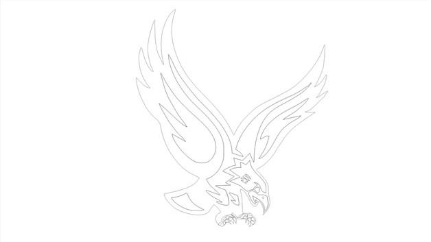 鹰简笔画怎么画 鹰简笔画画法