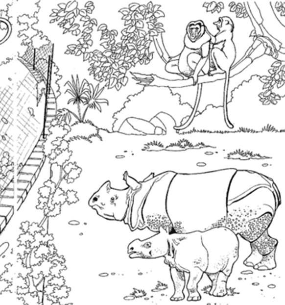 动物园简笔画超简单 动物园简笔画超简单又漂亮