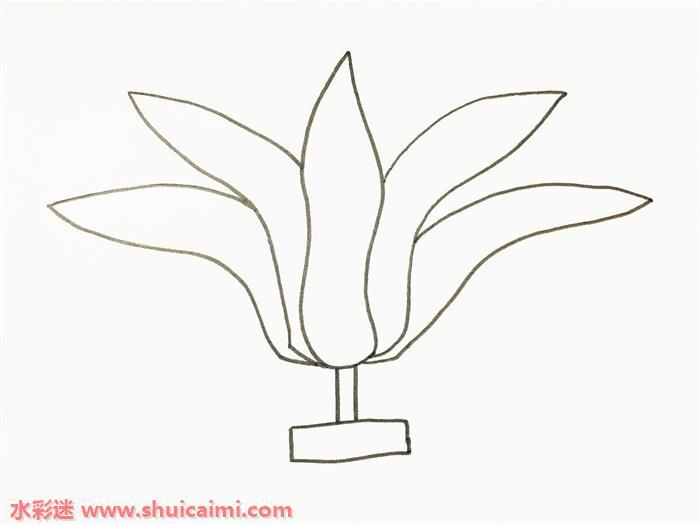 毽子怎么画 毽子简笔画图片带颜色