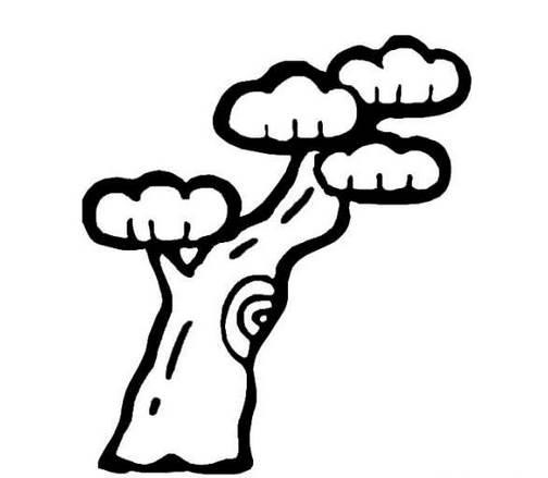 一棵大树简笔画 一棵大树简笔画松树