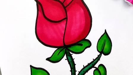 玫瑰花怎么画简笔画又漂亮 玫瑰花怎么画简笔画又漂亮 一步一步