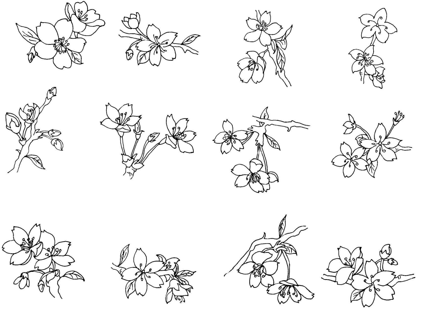 花卉简笔画图片大全 花卉简笔画图片大全大图彩色