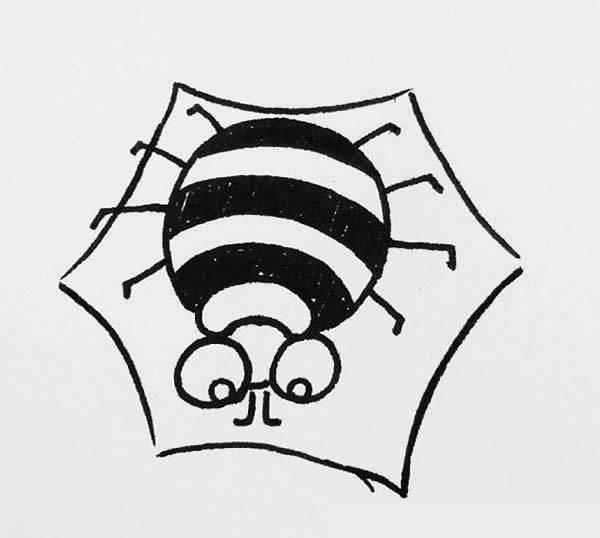 蜘蛛的简笔画 蜘蛛的简笔画图片大全