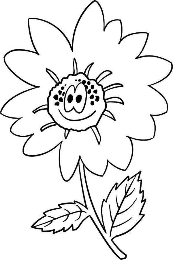 雏菊简笔画 雏菊简笔画大全