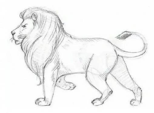 狮子的简笔画 狮子的简笔画简单霸气