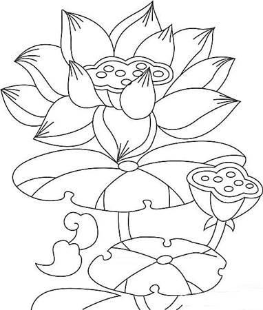 莲花简笔画 莲花简笔画图片大全大图