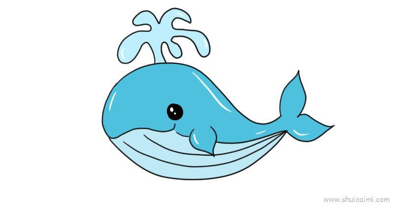 鲸鱼儿童画怎么画 鲸鱼简笔画顺序