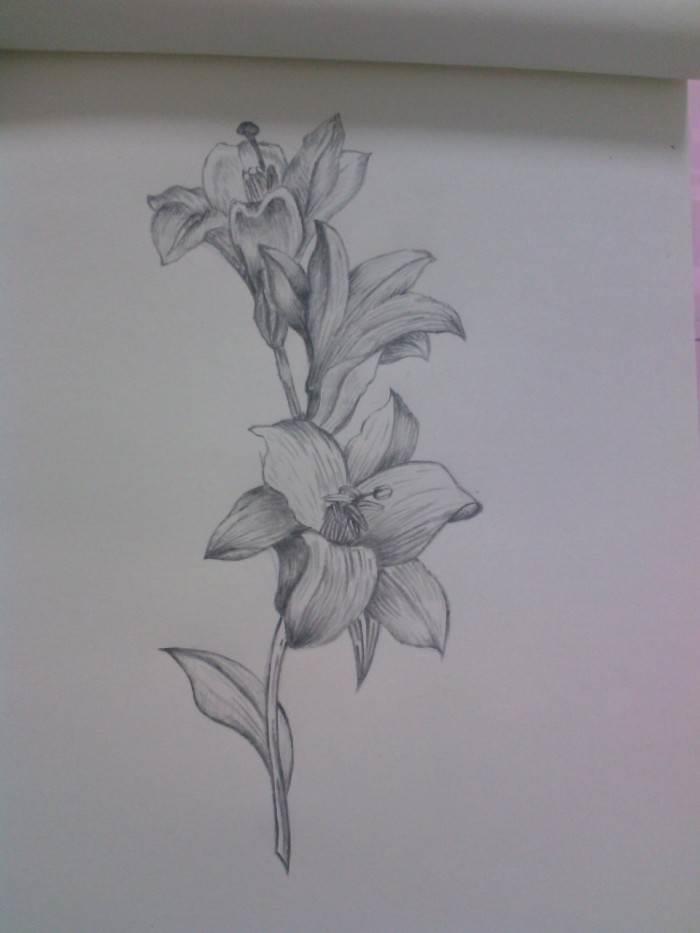 国画简笔画图片大全 国画简笔画图片大全简单