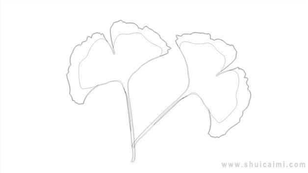 银杏叶简笔画怎么画 银杏叶简笔画顺序