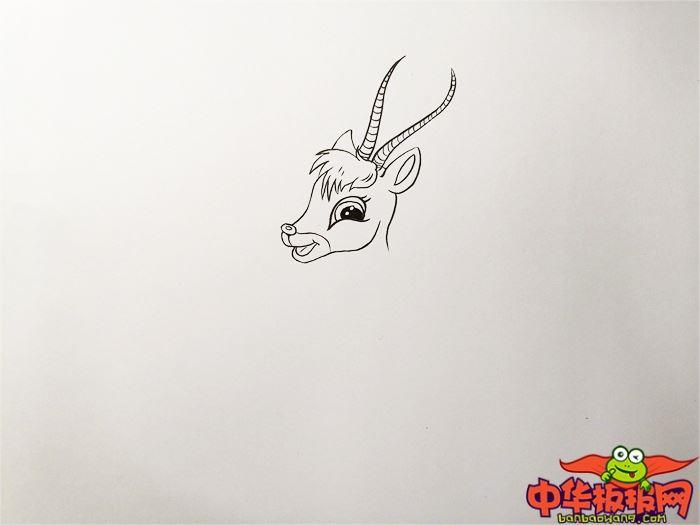 小藏羚羊怎么画 小藏羚羊简笔画画法