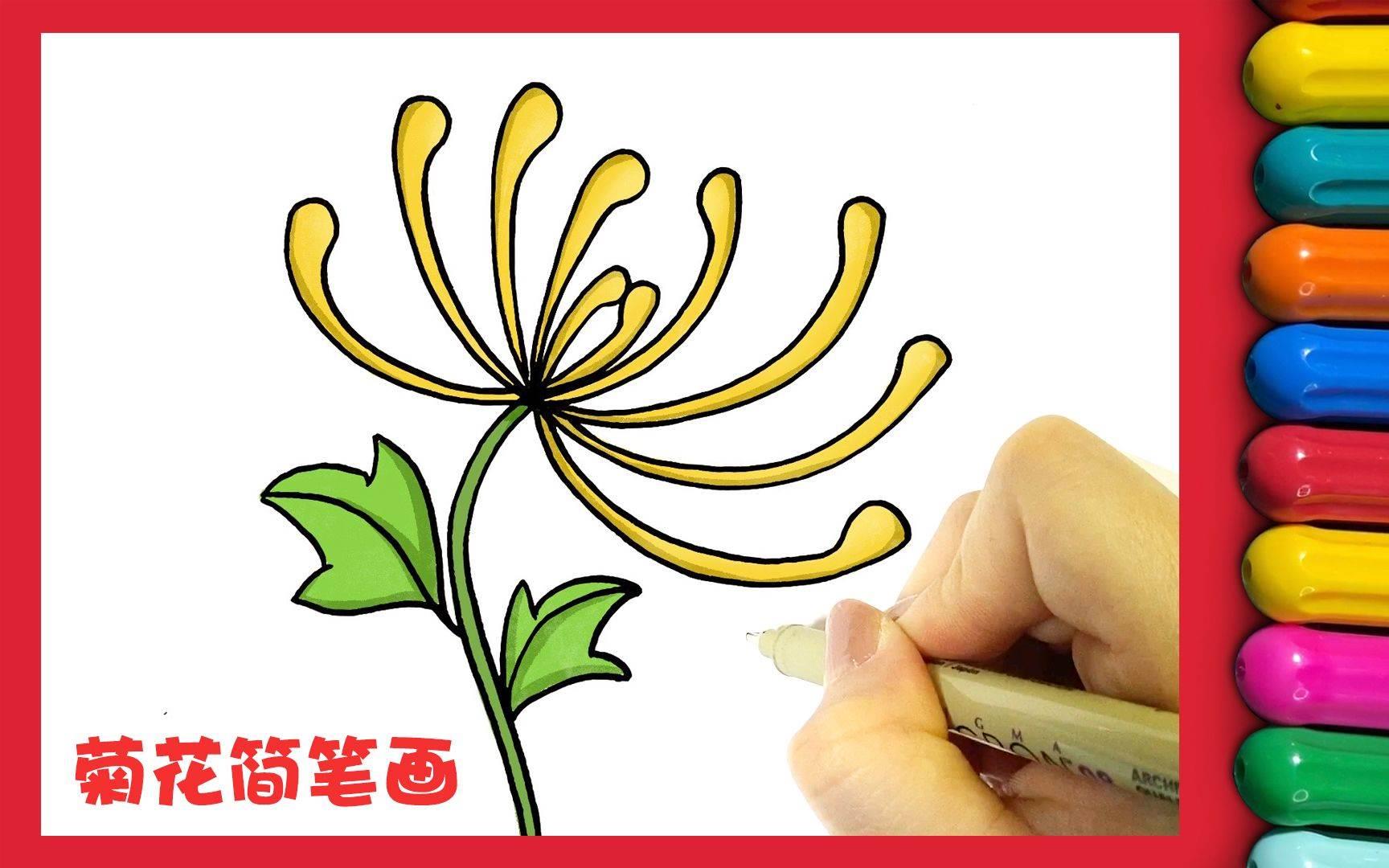 菊花叶子简笔画 菊花叶子简笔画图片