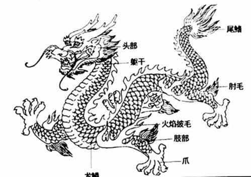 中国龙简笔画 中国龙简笔画简单霸气
