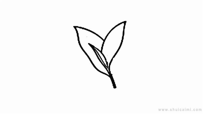 茶叶简笔画怎么画 茶叶简笔画顺序