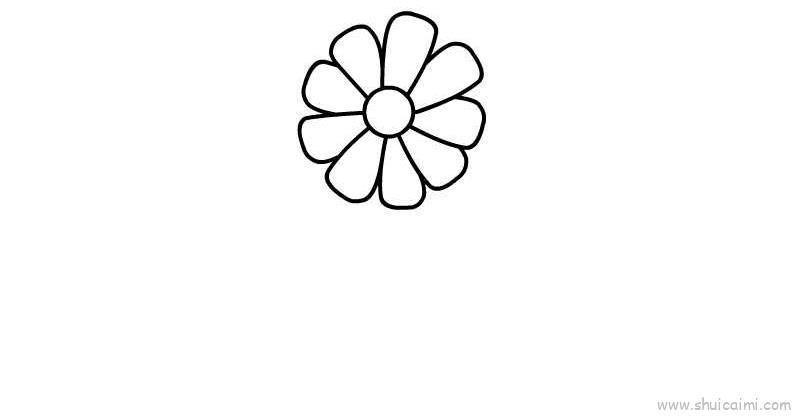 百日菊儿童画怎么画 百日菊简笔画图片大全