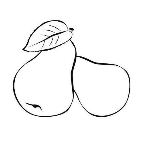 静物简笔画 静物简笔画组合