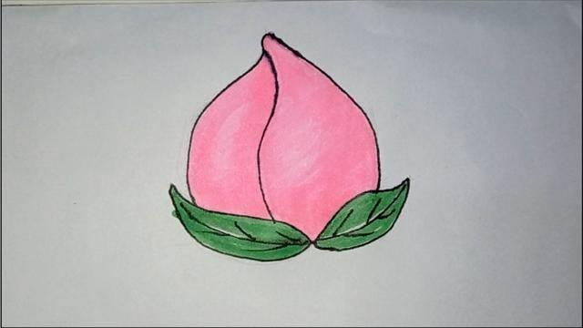 水蜜桃简笔画 水蜜桃简笔画图片