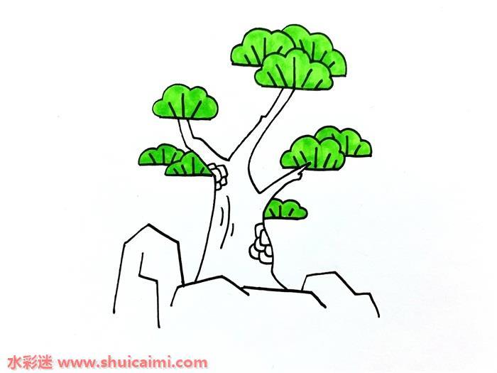 松柏怎么画 松柏简笔画图片大全带颜色