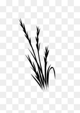 草简笔画 草丛简笔画
