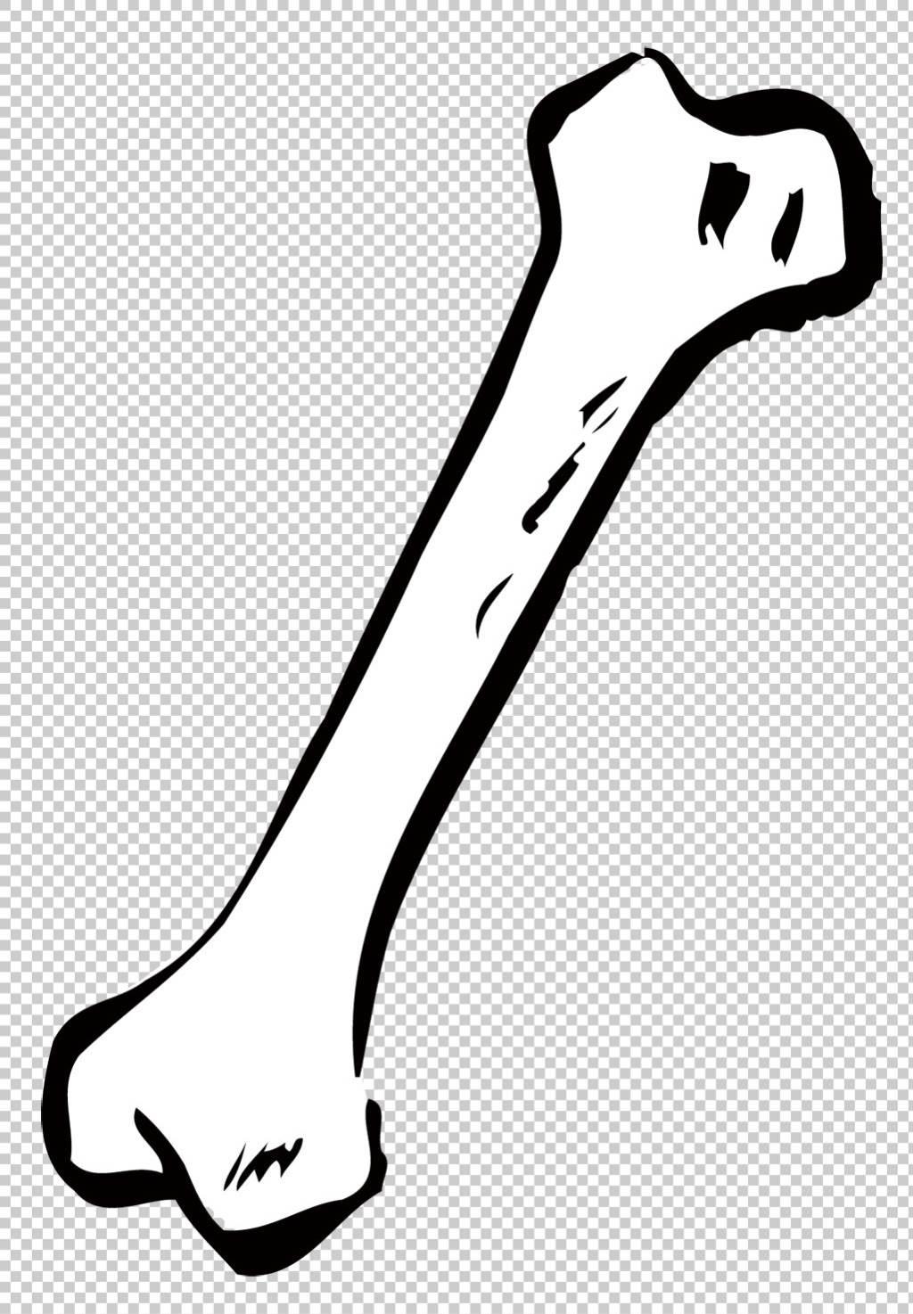 骨头简笔画图片大全 骨头简笔画图片大全彩色