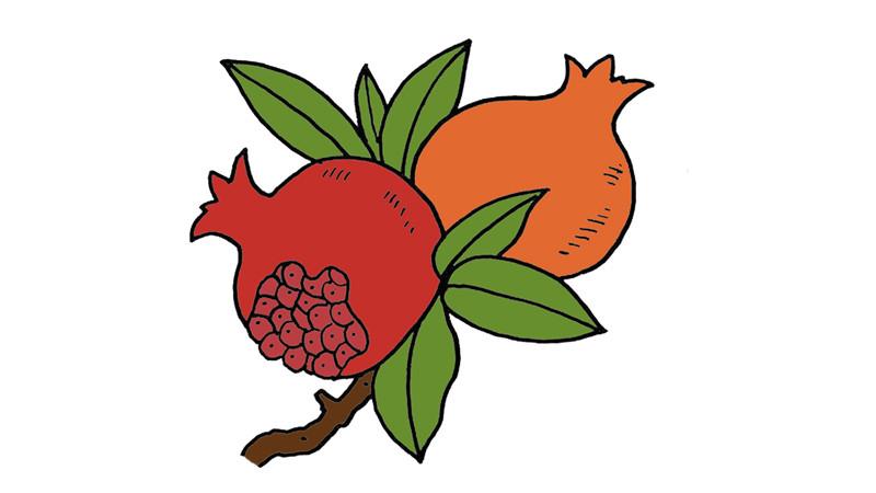 石榴如何画简笔画怎么画 石榴如何画简笔画步骤