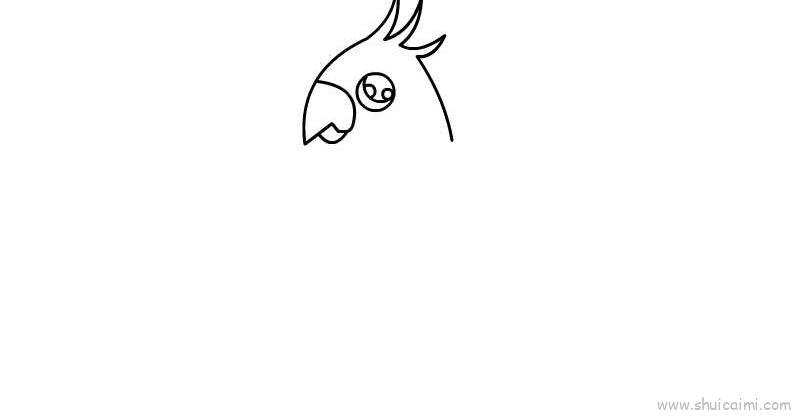 鹦鹉儿童画怎么画 鹦鹉简笔画图片大全