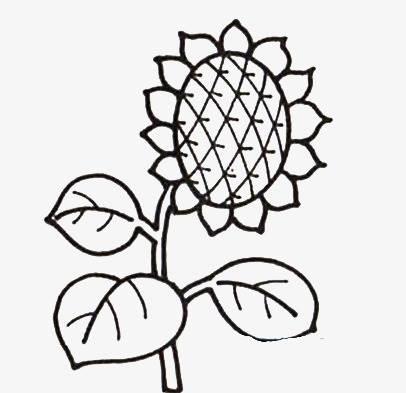 太阳花简笔画 太阳花简笔画简单又好看