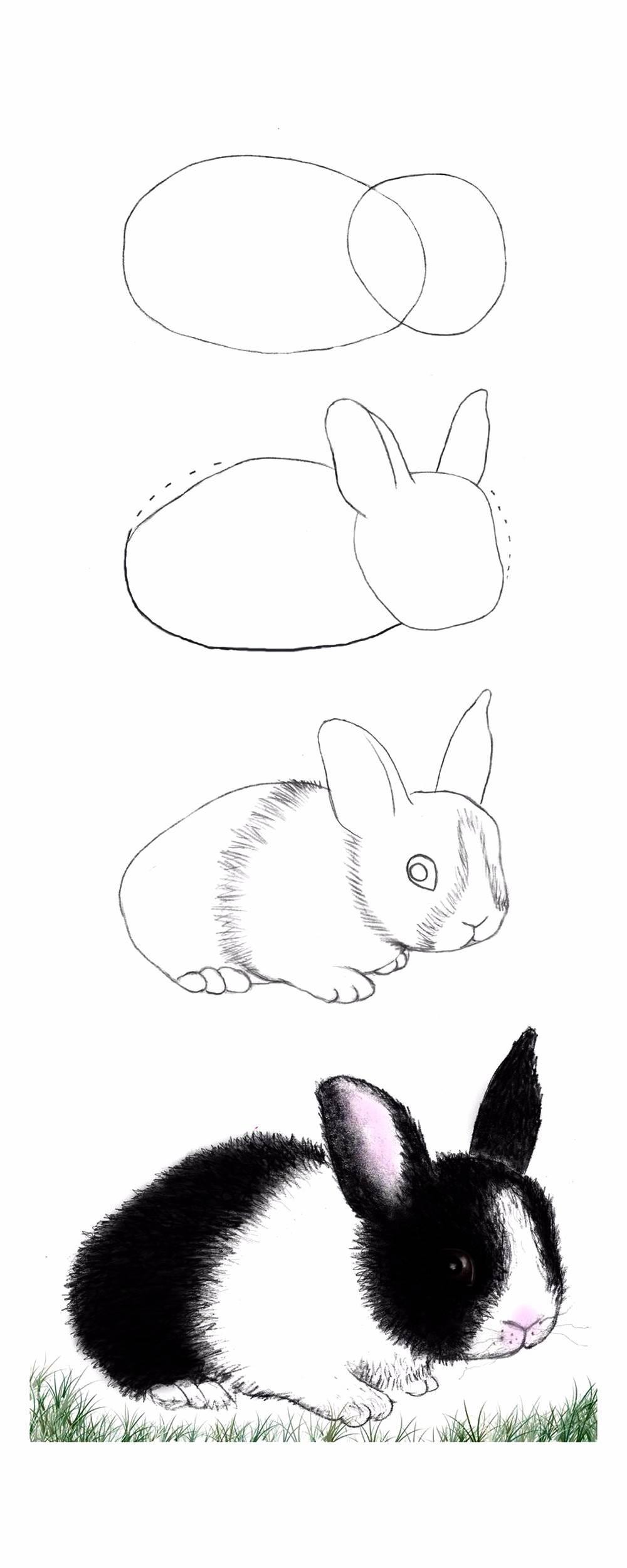 简笔画动物 简笔画动物图片大全