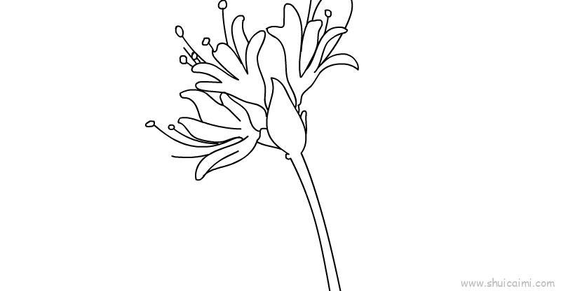 彼岸花儿童画怎么画 彼岸花简笔画画法