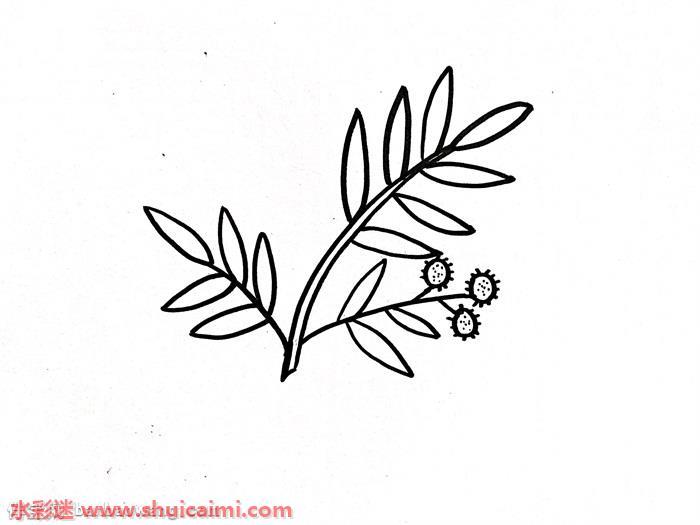 含羞草怎么画 含羞草简笔画漂亮卡通