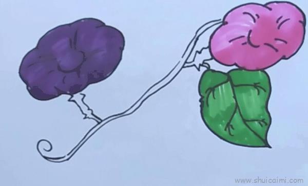 喇叭花儿童画怎么画 喇叭花简笔画好看