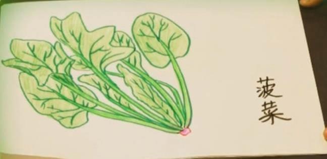 菠菜简笔画 菠菜简笔画图片带颜色