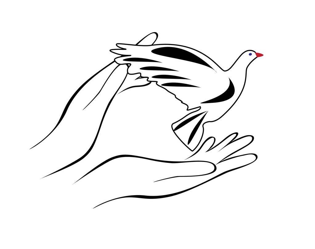 信鸽简笔画 和平信鸽简笔画