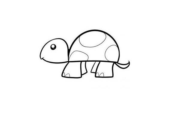 爬行动物简笔画 爬行动物简笔画彩色