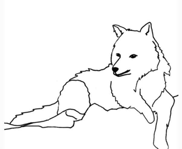 霸气狼简笔画图片大全 霸气狼简笔画图片大全彩色