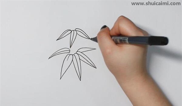 竹子简笔画怎么画 竹子简笔画顺序