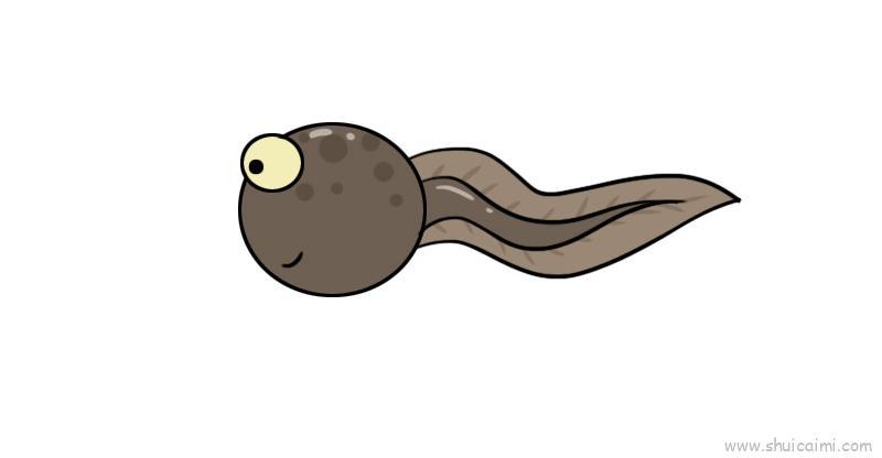 蝌蚪儿童画怎么画 蝌蚪简笔画画法